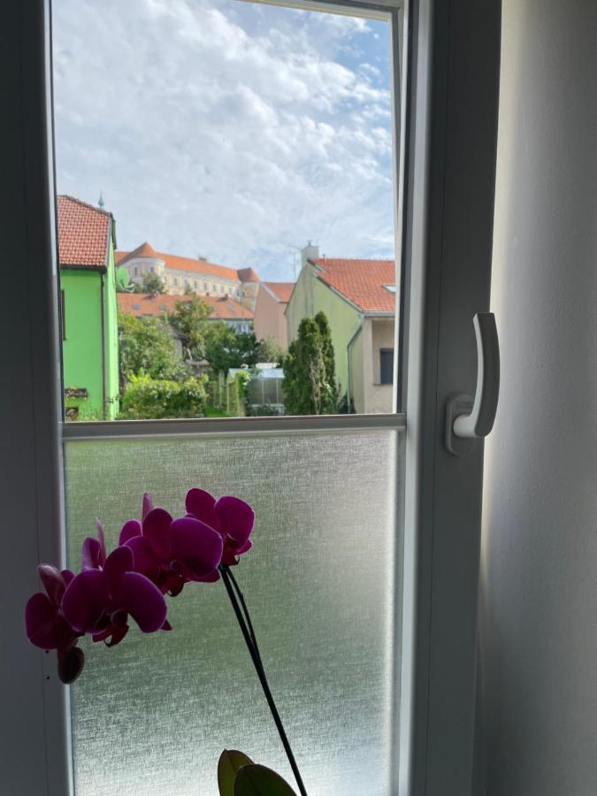 Apartmán u Vítka Mikulov Exteriér fotografie